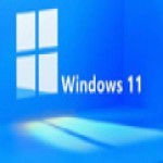 windows11家庭中文版 v11.0 正式版