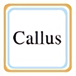 callus模拟器 正式版