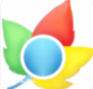 枫树极速浏览器官方版 v2.0.9 优化版