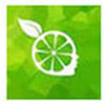 柠檬云财务软件电脑版 v4.2.5 绿色版